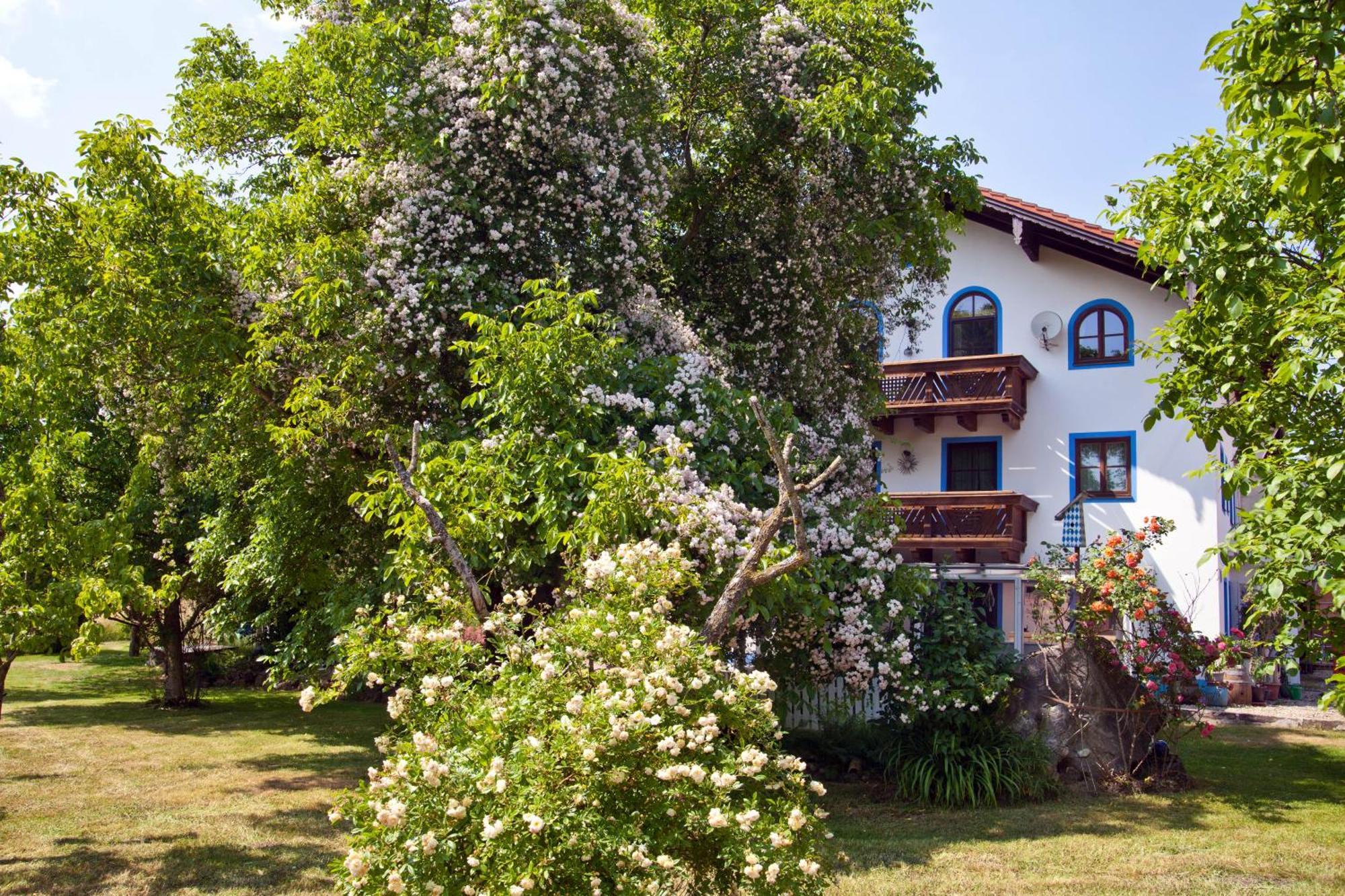 Ferienwohnung Moierhof Palling 외부 사진